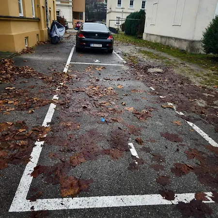 In - Mit Parkplatz & 2 Schlafzimmer * Steyr