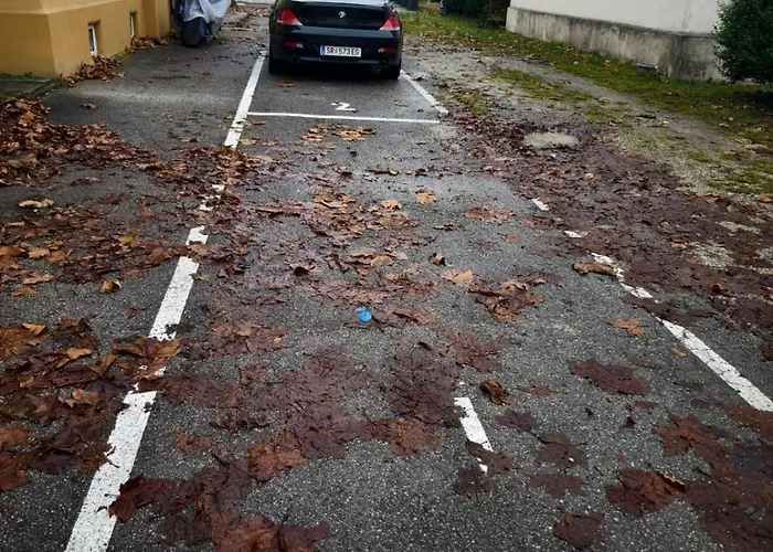 In - Mit Parkplatz & 2 Schlafzimmer * Steyr